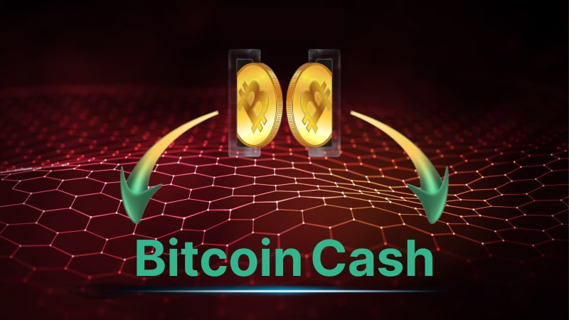 Bitcoin cash casinos deposits withdrawals